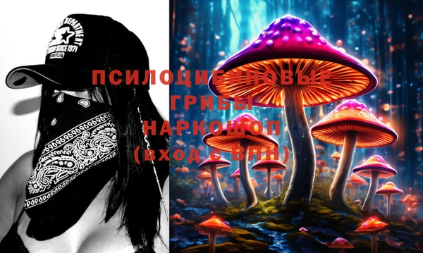 эйфоретик Алзамай