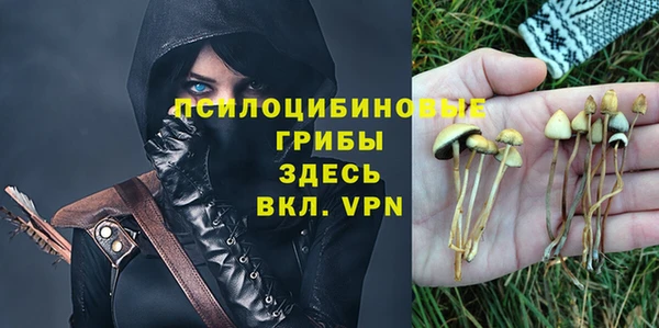 эйфоретик Алзамай
