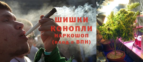 молекула духа Алексин